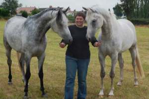 Helen Jackson of Develop Your Horse between two horses that are calm and paying attention, in Belper Derbyshire